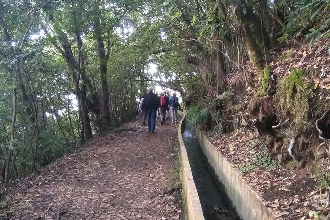 ribeiro-frio-portela