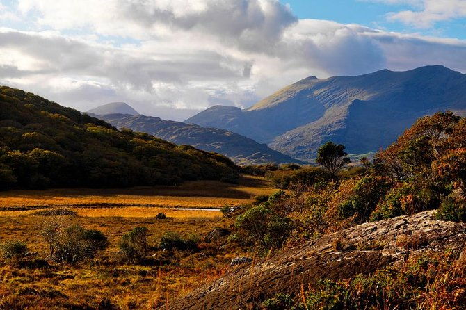 ring-of-kerry-day-tour-from-cork-including-killarney-national-park