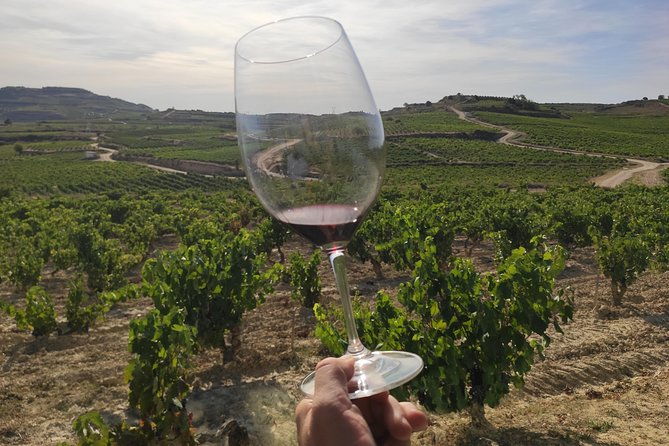 rioja-wine-tour-2-wineries-from-pamplona