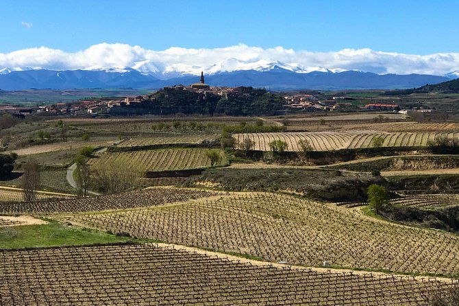 rioja-wineries-and-laguardia-tour-with-picnic-from-san-sebastian