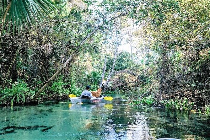 rock-springs-2-hour-glass-bottom-guided-kayak-eco-tour