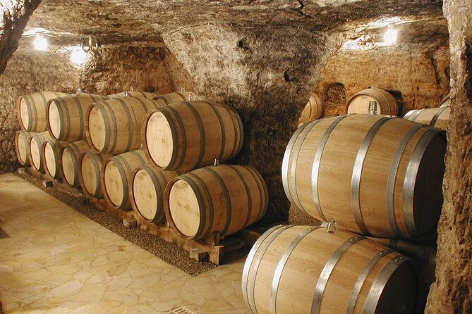 roman-heritages-and-chateauneuf-du-pape-wine-tour-from-avignon