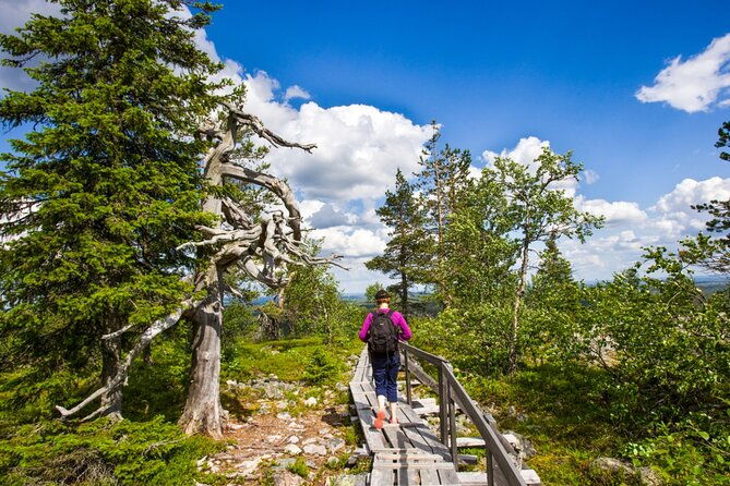 rovaniemi-korouoma-canyon-waterfalls-tour-with-bbq