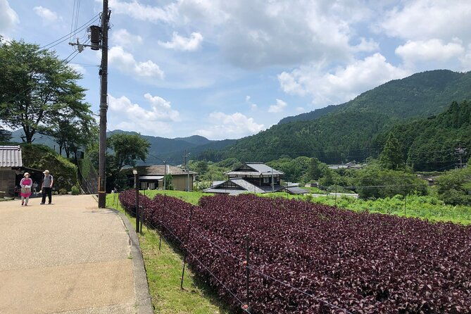 rural-kyoto-one-day-tour-of-a-tranquil-landscape-in-ohara