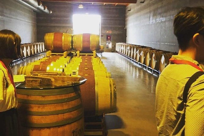 sa-clasta-mallorca-wine-tours
