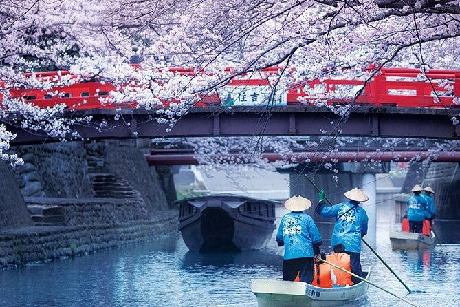 sakura-magic-and-nabana-no-sato-day-tour-from-osaka