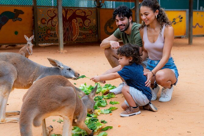 san-antonio-zoo-general-admission-ticket