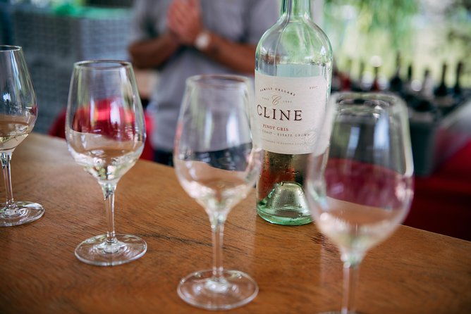 san-francisco-super-saver-muir-woods-wine-country-w-optional-gourmet-lunch