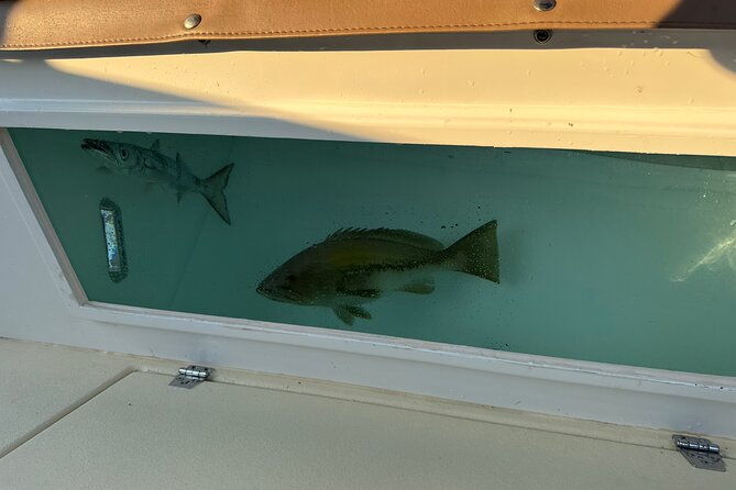 santorini-fishing-private-cruise-boat-tour-bbq-snorkeling
