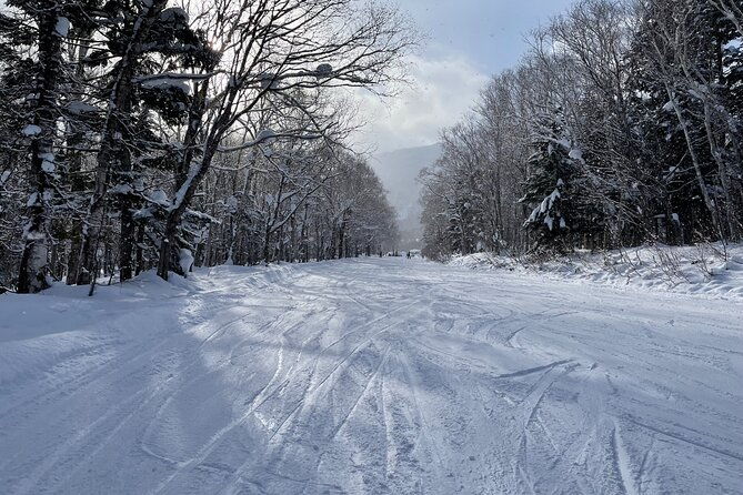 sapporo-private-ski-snowboard-lesson-with-pick-up-service