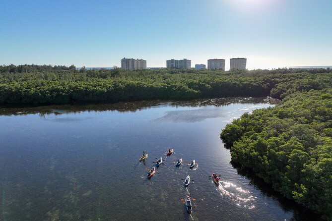 sarasota-mangrove-tunnel-guided-kayak-adventure