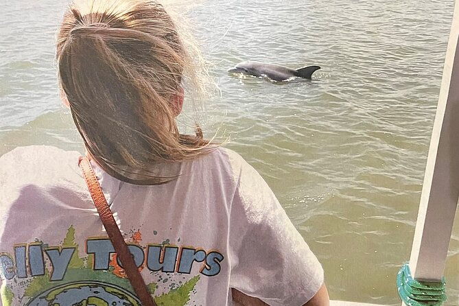 savannah-to-tybee-island-with-dolphin-cruise
