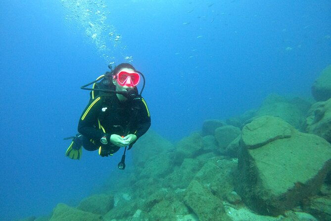 scuba-dive-excursion-for-beginners-in-a-turtle-area