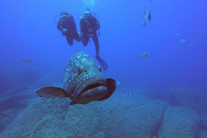 scuba-diving-in-la-maddalena-lavezzi-park-for-certified-divers
