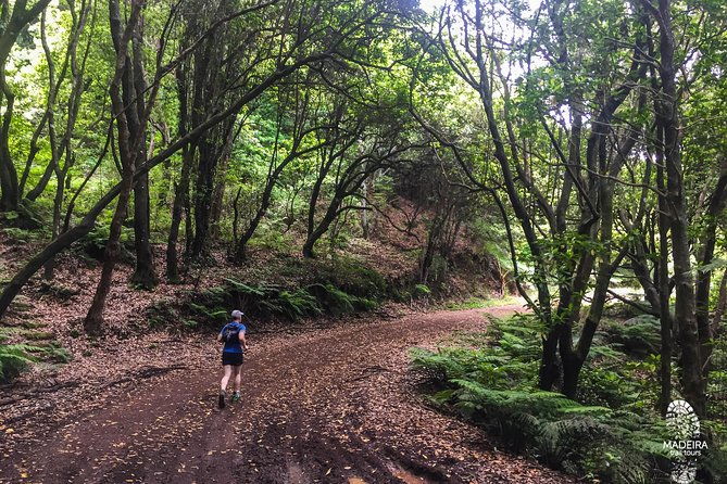 sea-2-mountain-running-tour-moderate-hard