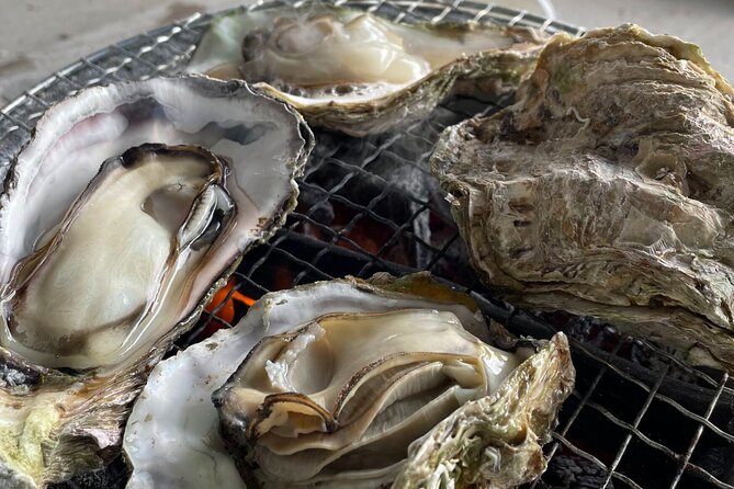 sea-and-ginjo-sake-adventure-for-hiroshima-oyster-lovers