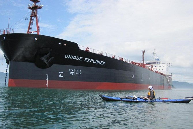 sea-kayaking-tour-with-lunch-a-one-day-adventure-by-sea-kayak-in-hiroshima