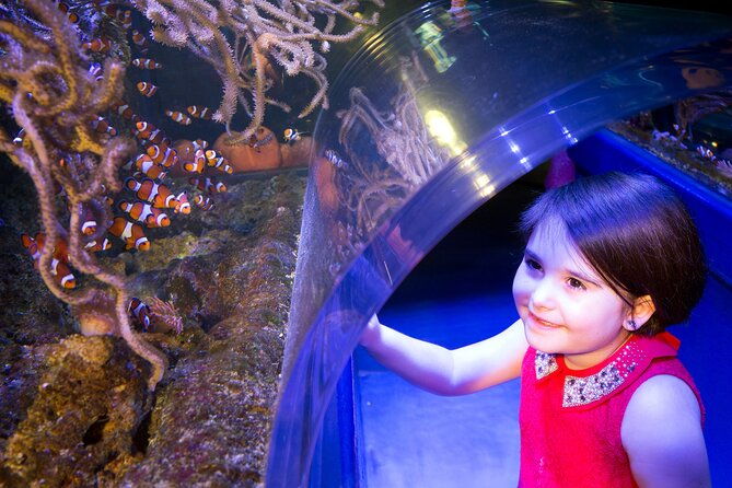 sea-life-birmingham-admission-ticket