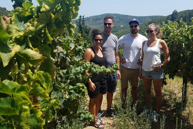 semi-private-wine-discovery-tour-in-chania
