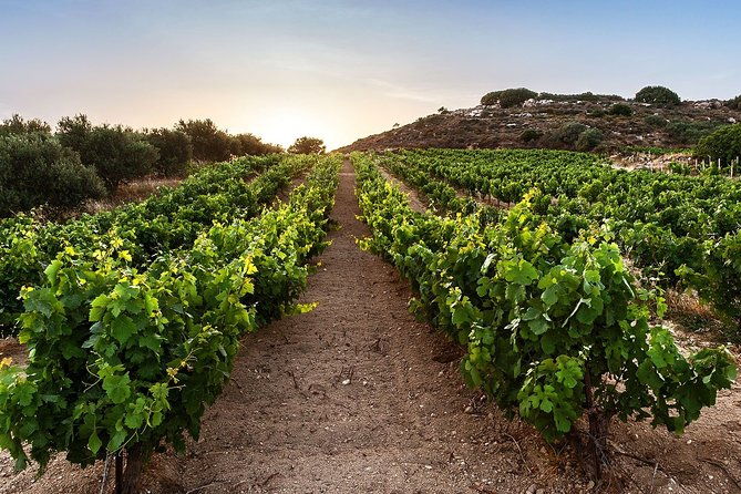 semi-private-wine-tour-of-2-wineries-with-transfer-and-lunch