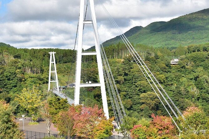 shared-minibus-tour-from-fukuoka-to-kokonoe-and-yufuin-beppu