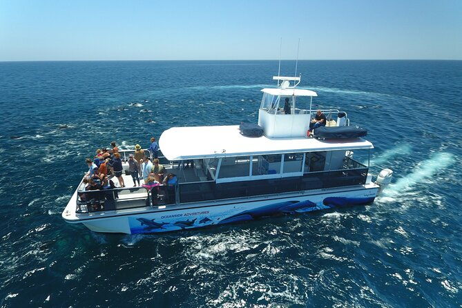 shared-two-hour-whale-watching-tour-from-oceanside