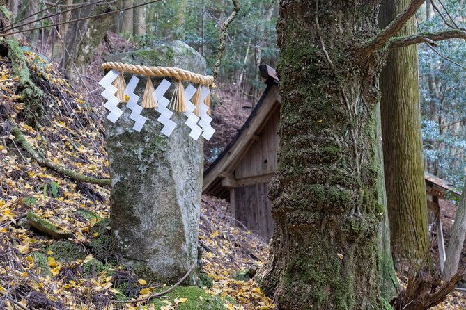 shinrinyoku-explore-the-historic-sites-of-shugendo-culture