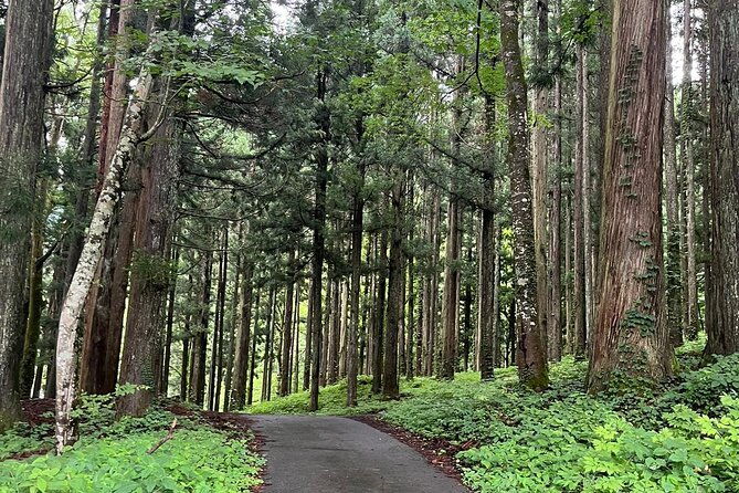 shirakawago-gujo-hachiman-and-hida-takayama-one-day-tour-nagoya