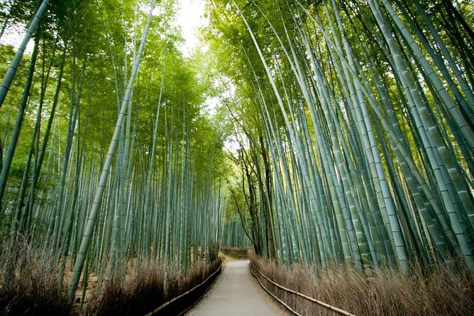 shore-excursion-full-day-private-kyoto-tour-from-osaka-kobe-port