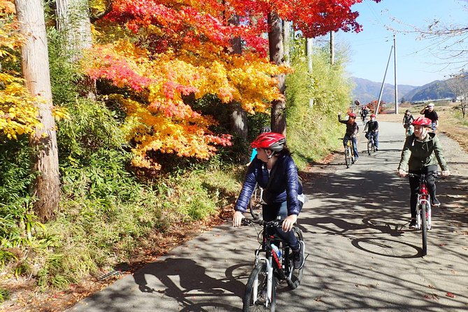 short-morning-cycling-tour-in-hida