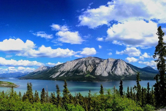 skagway-shore-excursion-full-day-tour-of-the-yukon