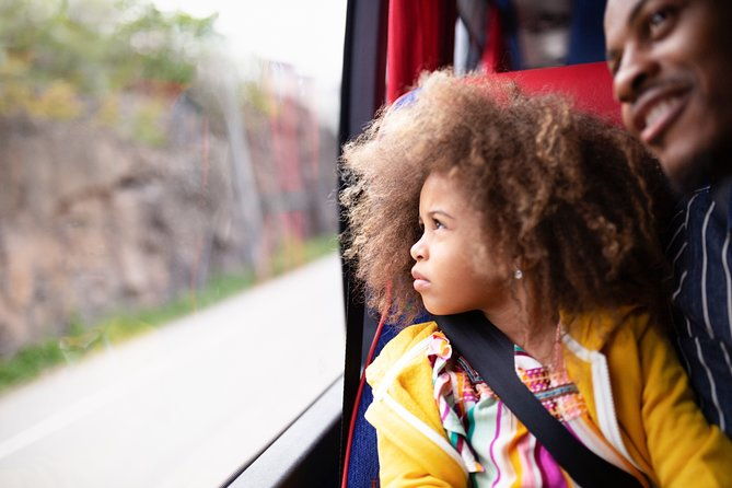 skavsta-airport-bus-transfer