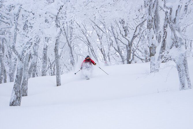 ski-or-snowboard-lesson-in-shiga-kogen-4hours