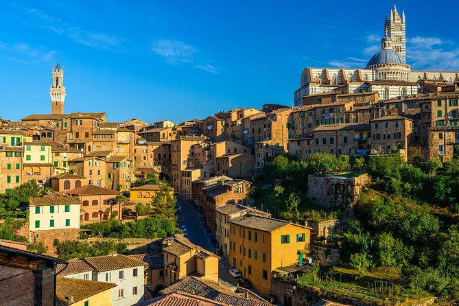 skip-the-line-siena-duomo-and-city-walking-tour