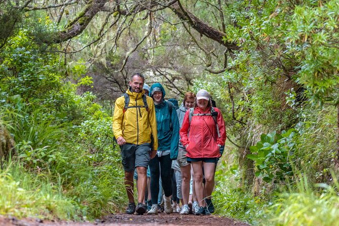 skywalk-4x4-experience-and-rabacal-25-fountains-levada-walk