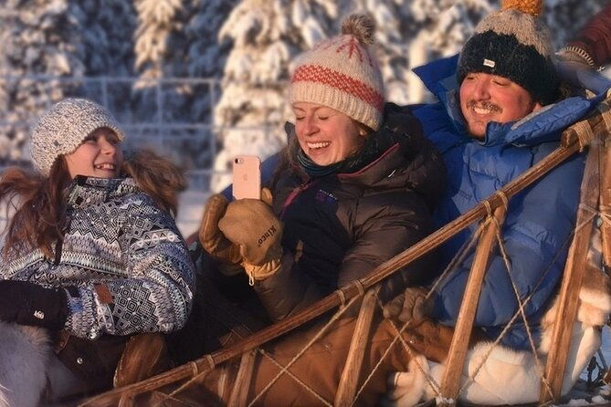 sled-dog-sampler-ride-in-fairbanks