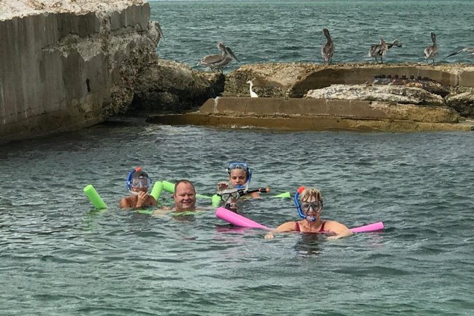 small-group-2-hour-dolphin-cruise-with-snorkeling-to-shell-key