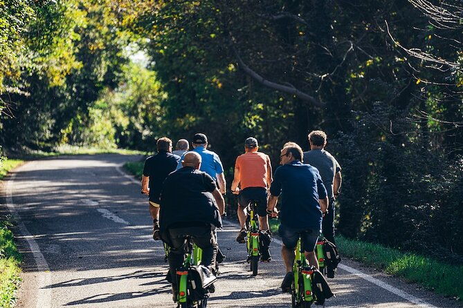 small-group-amarone-wine-e-bike-tour-from-verona