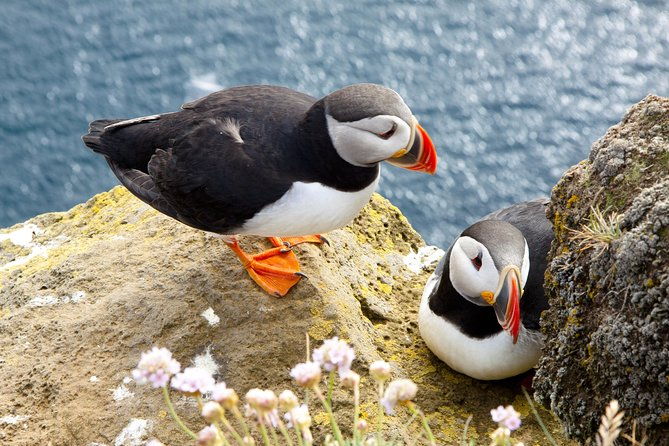 small-group-cliffs-cruise-aran-islands-and-connemara-in-one-day-from-galway