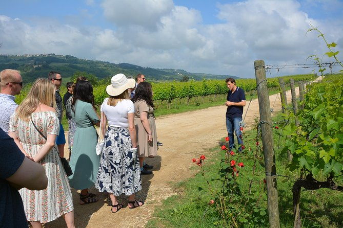 small-group-experience-cheese-chianti-visit-dairy-3-wineries