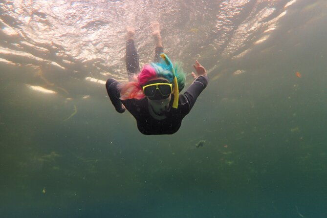 small-group-manatee-swim-tour-with-in-water-guide