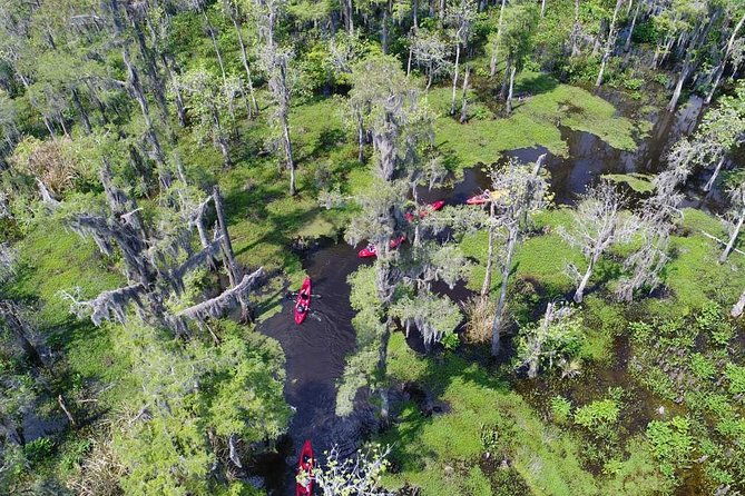 small-group-manchac-swamp-kayak-tour