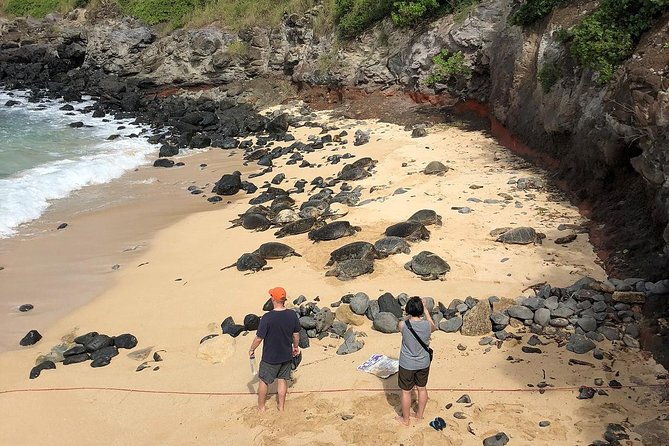 small-group-road-to-hana-adventure-tour-with-pickup-lunch