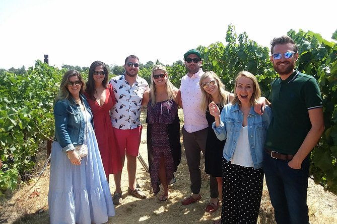 small-group-wine-country-tour-from-san-francisco-with-tastings