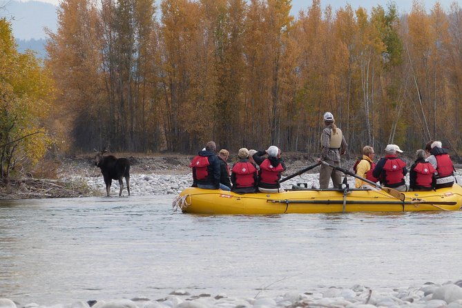 snake-river-scenic-float-trip-with-teton-views-in-jackson-hole