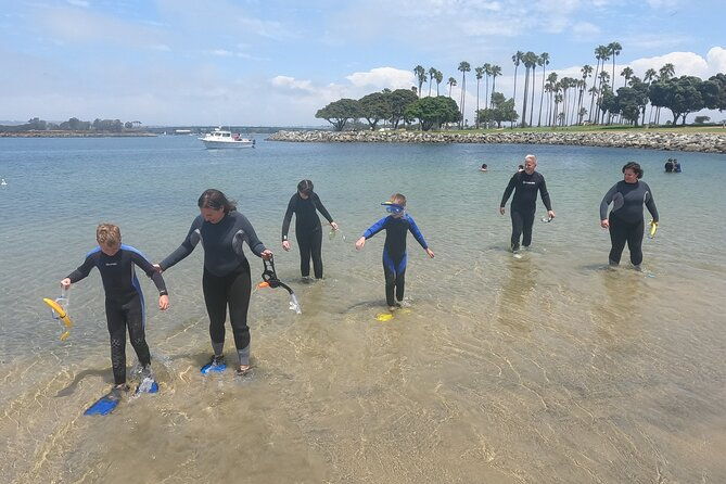 snorkel-san-diegos-mission-bay-with-a-marine-biologist