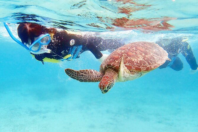 snorkeling-with-sea-turtles