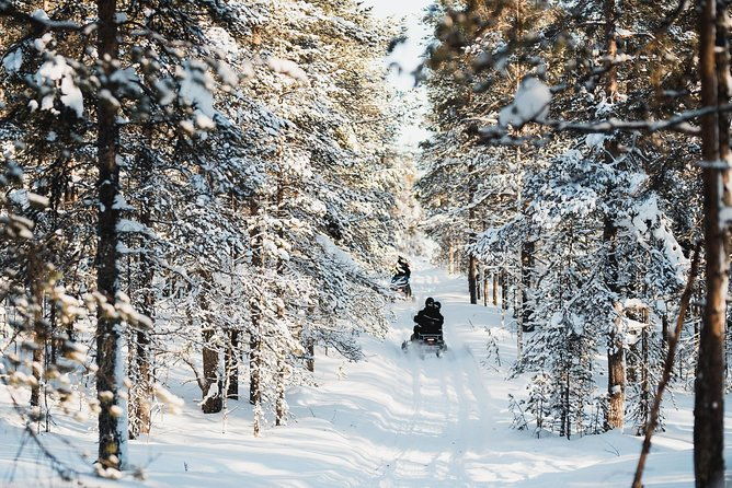 snowmobile-safari-into-the-arctic-circle-forest