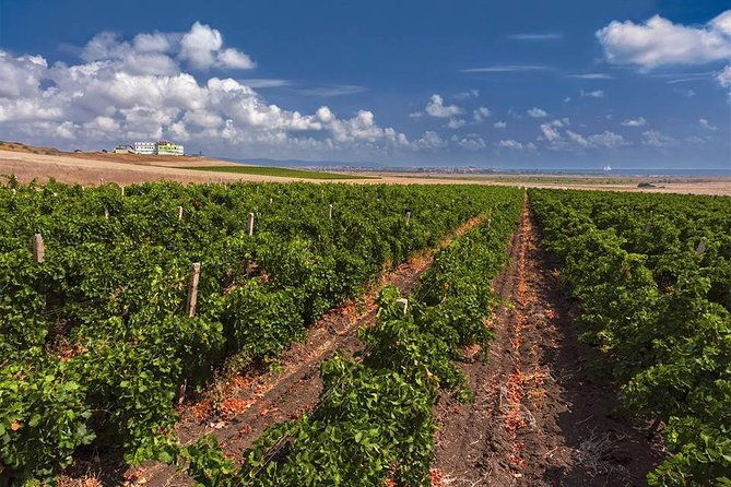 special-history-and-wine-tour-including-wine-tasting