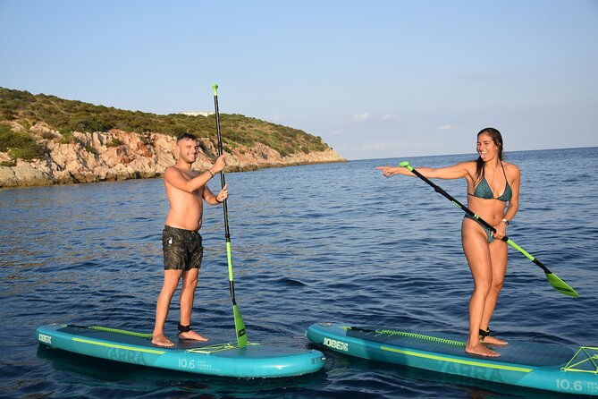 stand-up-paddle-with-dolphins